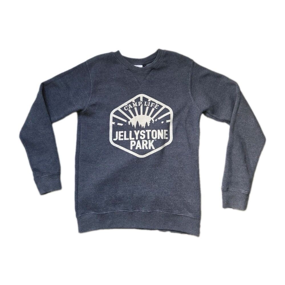 Yogi Bear Jellystone Park Camp Life Graphic Sweatshirt Gray Fleece Women's M GUC